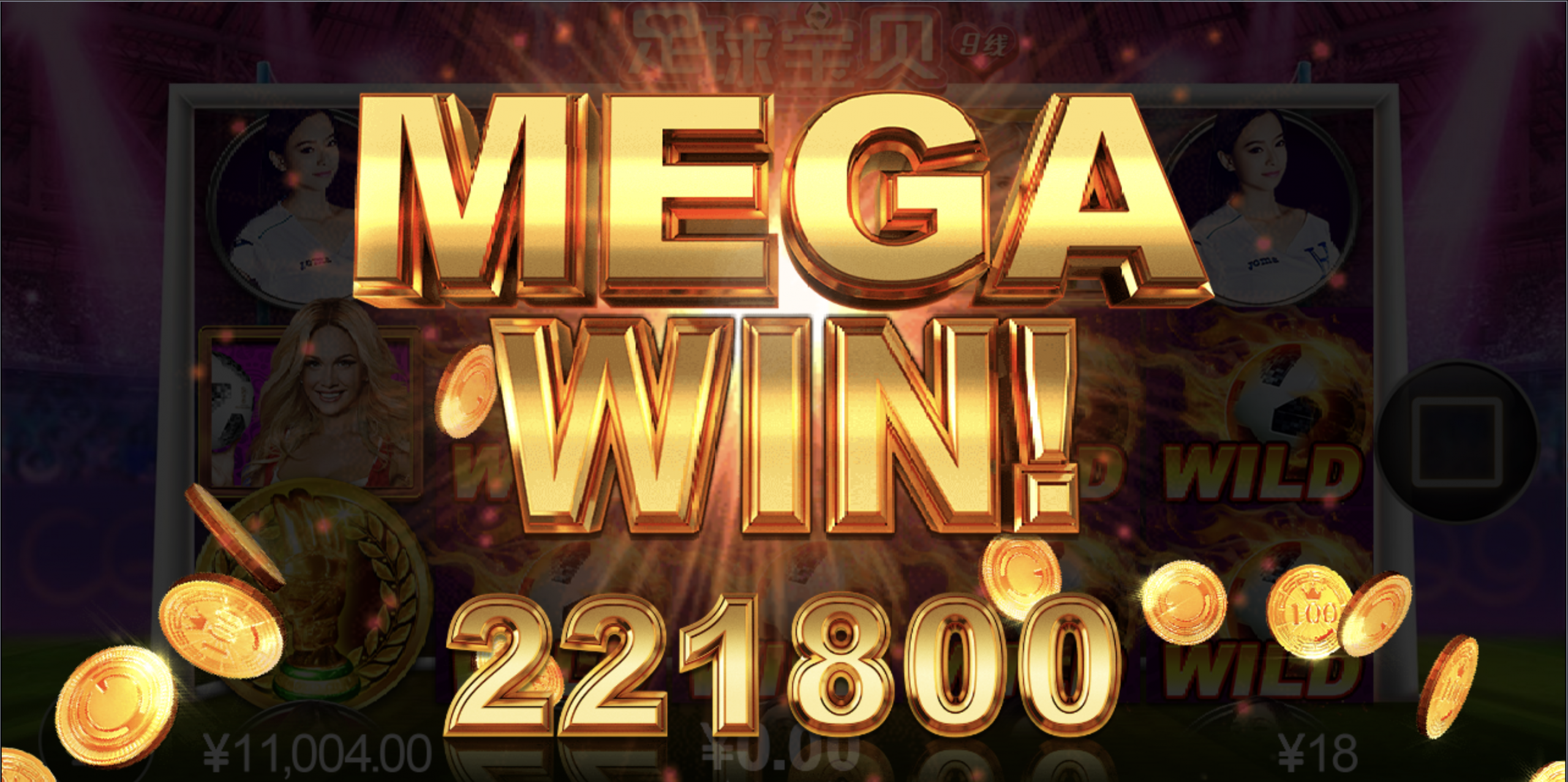 评论图片-白菜作业网-高质量白菜网-白菜社区