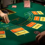 白菜社区怎么玩才最划算？全攻略揭秘-白菜作业网-高质量白菜网-白菜社区