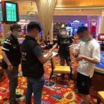 白菜论坛资源站合集更新：获取最佳资源的终极指南-白菜作业网-高质量白菜网-白菜社区