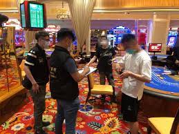 白菜论坛资源站合集更新：获取最佳资源的终极指南-白菜作业网-高质量白菜网-白菜社区