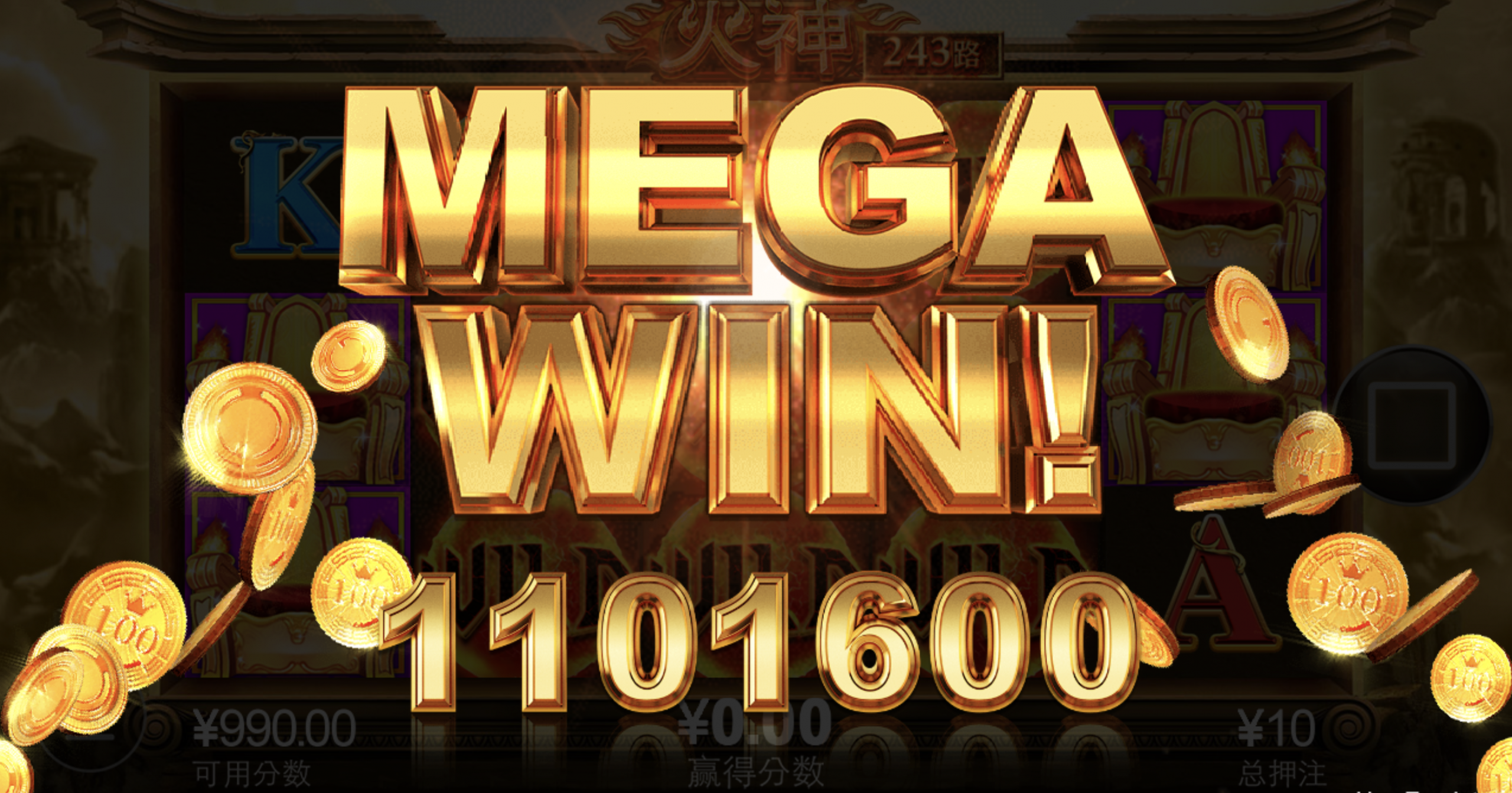 评论图片-白菜作业网-高质量白菜网-白菜社区